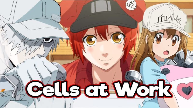 Anime inspirat de corpul uman, Cells at Work! este un hit masiv în China