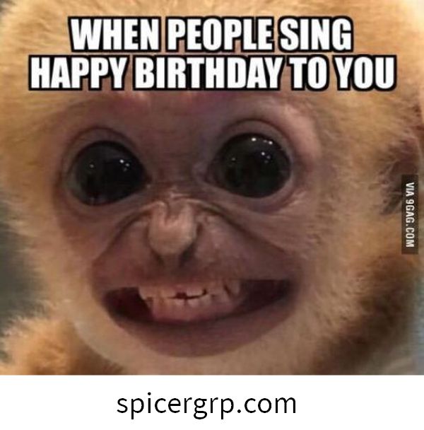 meme di compleanno divertente comune per amico