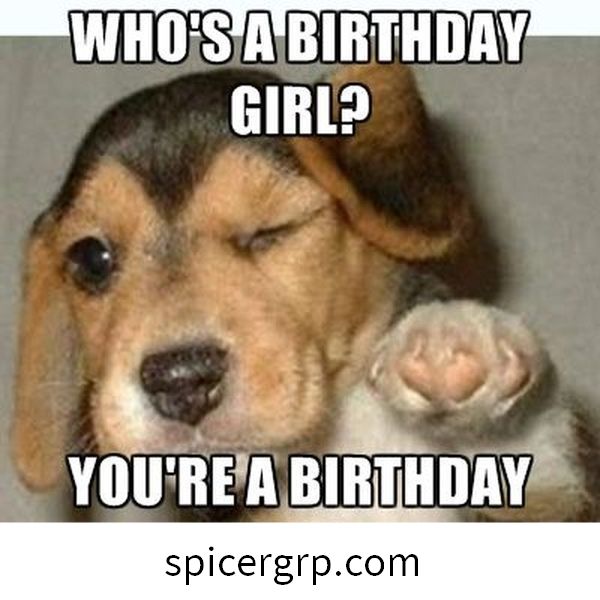 incredibile meme di buon compleanno per le ragazze