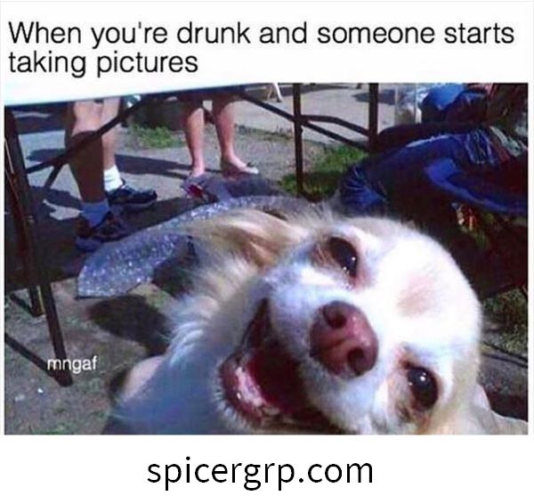 memes d’alcohol genials