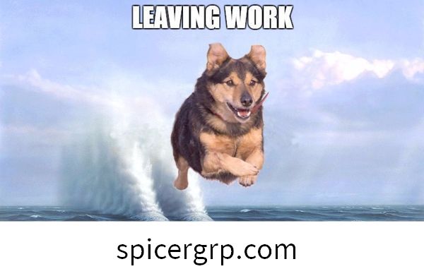 Quitter le travail vendredi, le Flying Dog.