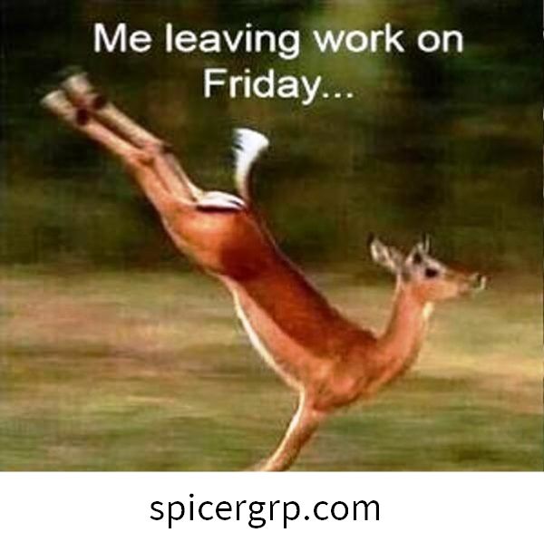 Me Leaving Work on Friday Meme