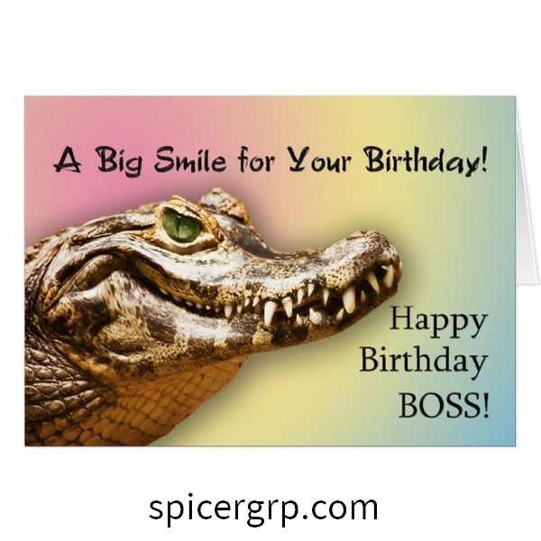 बॉस के लिए चित्रों के रूप में स्टाइलिश जन्मदिन कार्ड