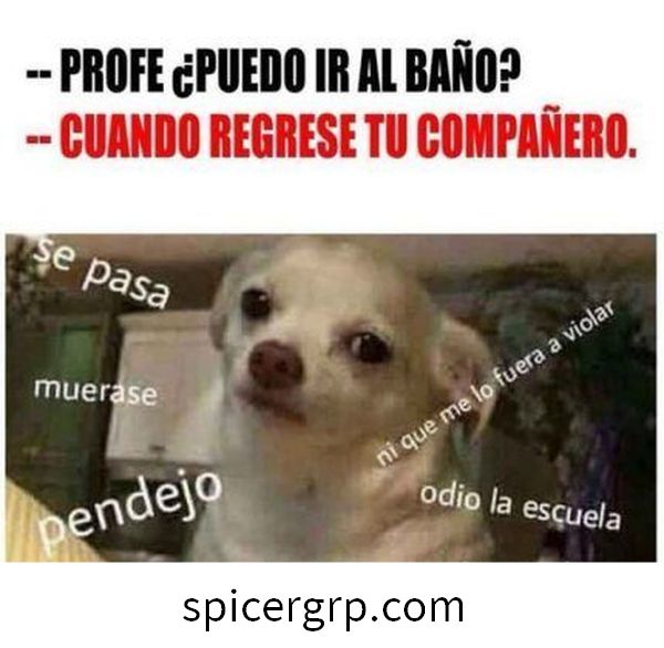 mèmes drôles en espagnol