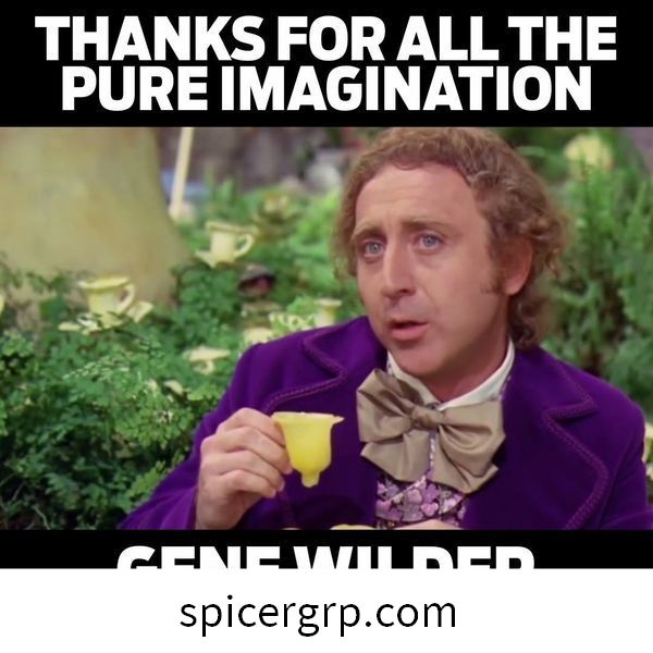 Merci pour toute la pure imagination Gene Wilder 1933-2016
