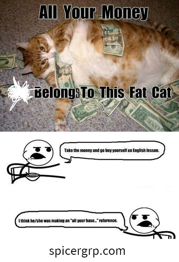 Fantastiski smieklīgi resnu kaķu attēlu paraksti