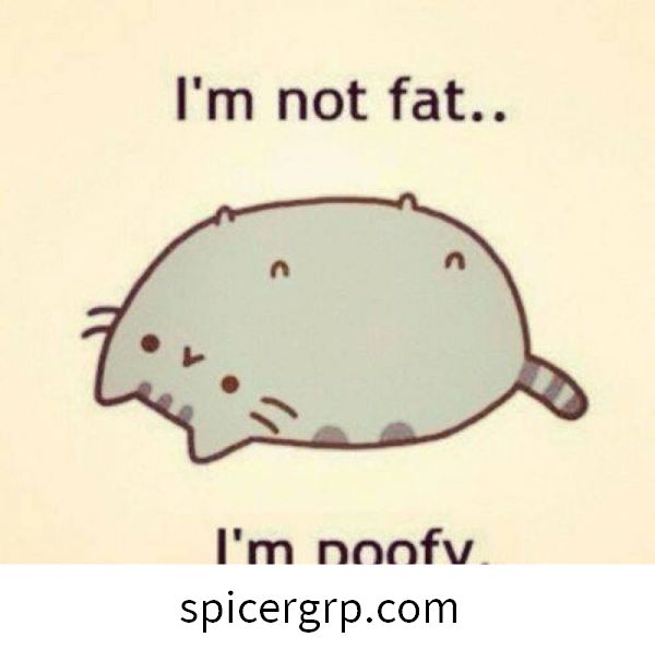 Gran meme de dibujos animados de gato gordo