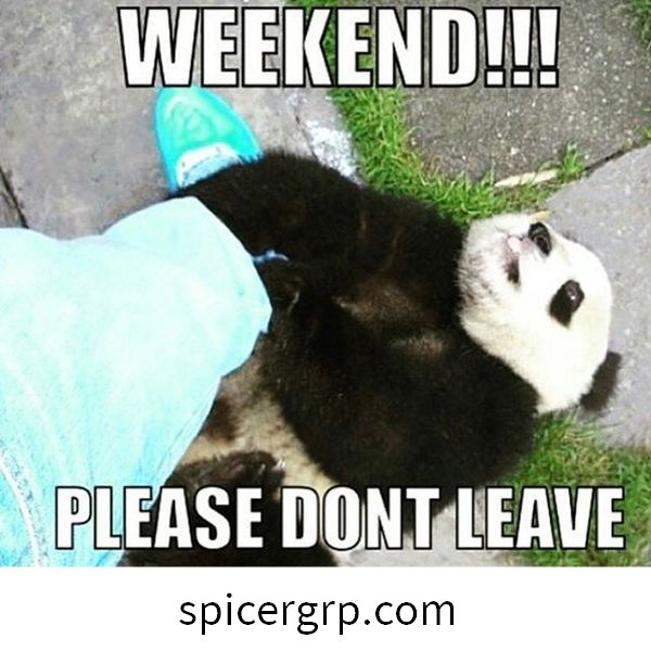 Hujung minggu !!! Tolong jangan tinggalkan saya !!