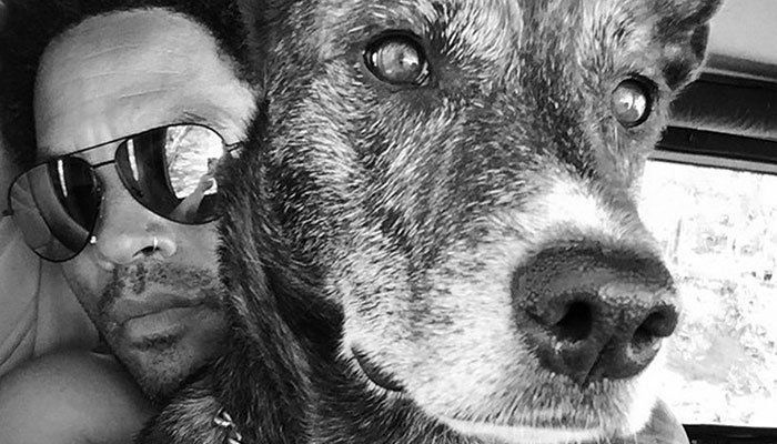 Лени Кравиц изгубио пса кућног љубимца, дели срцепарајућу поруку
