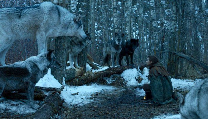 Aryino horkosladké stretnutie s jej vlkom, vysvetlené tvorcami GoT