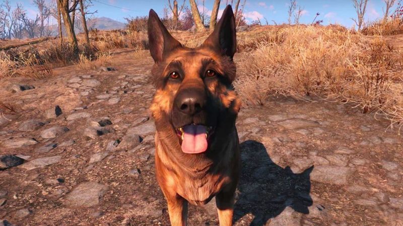 River, den virkelige hunden som inspirerte Fallout 4's Meatball, dør: Hun var en del av teamet
