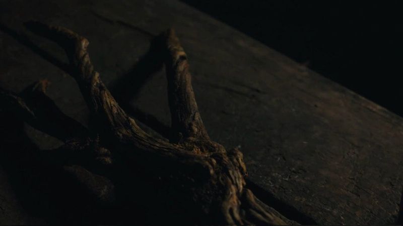 WitcherConలో చూపబడిన ది విట్చర్ రెండవ సీజన్ నుండి కొత్త రాక్షసుడు ఏమిటి? మాకు తెలిసినవన్నీ మీకు చెప్తాము