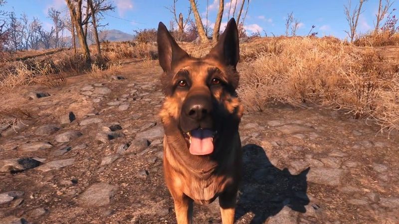 River che ha ispirato Dogmeat, membro originale di Fallout 4, muore, Xbox onora il cane con una donazione