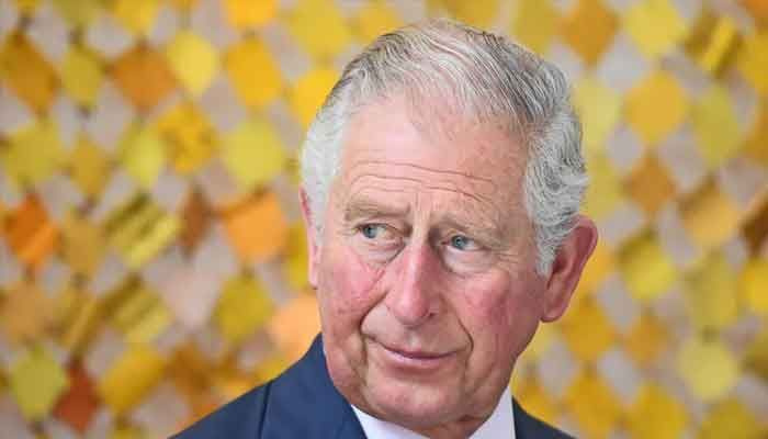 El príncipe Carlos repite las ideas de otras personas, dice grupo anti-monarquía