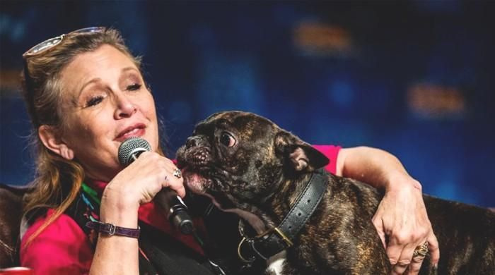 Carrie Fishers hund twittrar bitterljuvt farväl till sin 'mamma'