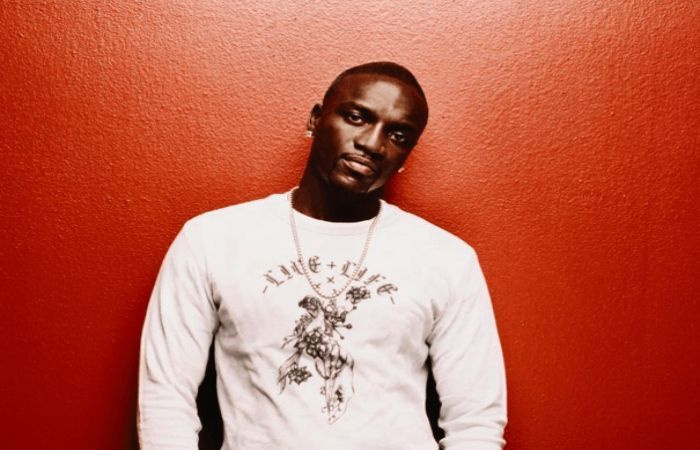 Akon, 아프리카에서 다음 자선 사업 발표