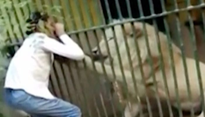 Leijonan kimppuun joutunut Karachin eläintarhanhoitaja sanoo olevansa nyt paremmassa kunnossa