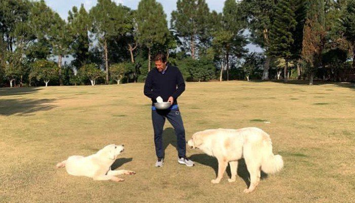 Премијер Имран Кхан опушта се код куће са псима усред ПДМ повер схова