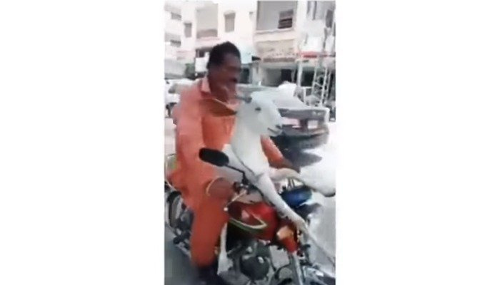 Video af mand, der kører med ged på motorcykel, udløser blandede reaktioner på sociale medier