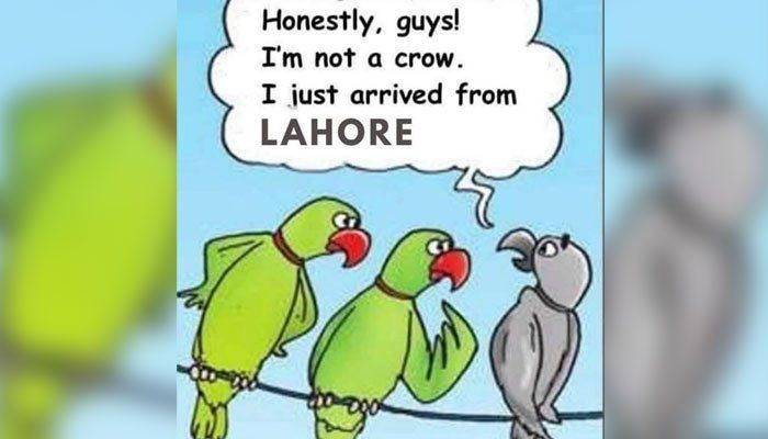 Korisnici Interneta pokušavaju se pozabaviti sumornom situacijom smoga u Lahoreu memovima