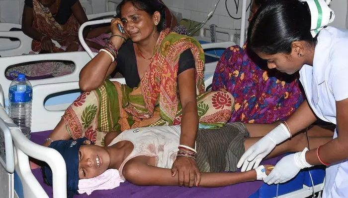 Lychee-dødsfall: India tjenestemann sier encefalitt drepte 31 barn